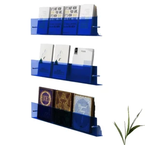 Wall Mounted Colorful Acrylic Magazine Rack with Assembly Accessories Wall Fixing Children Bookshelf