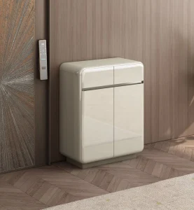 White High Gloss Modern European Shoe Cabinet with 2 Doors & 2 Drawers for Hotel Basement & Hallway Storage